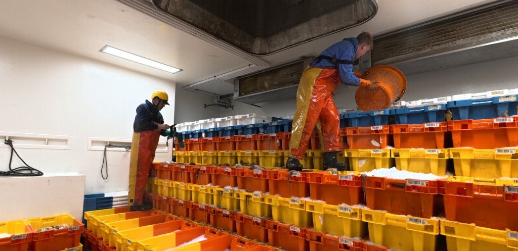 Crew positioning fish boxes in the hold