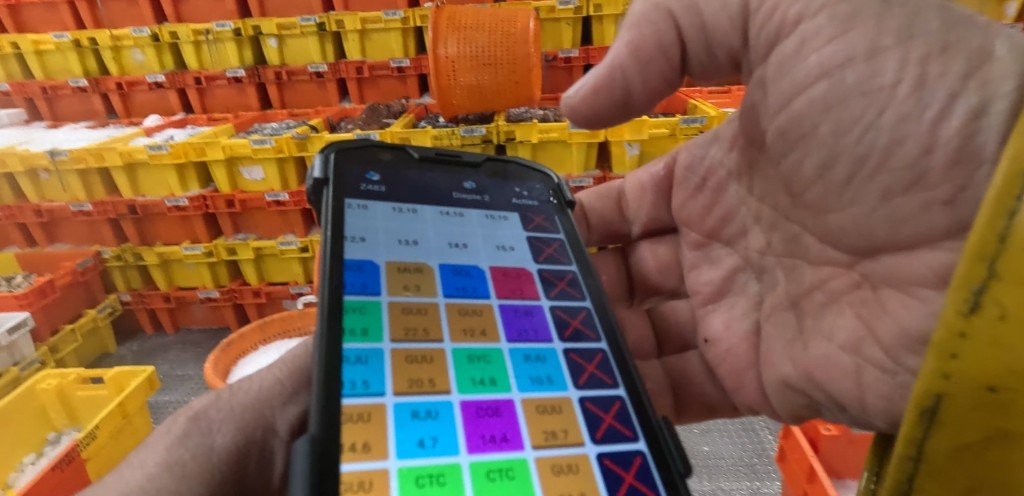 Skipper logging a box on the FishGrid app — colour-coded species grid