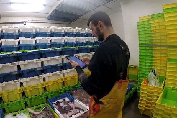 NaviTools catch data in action