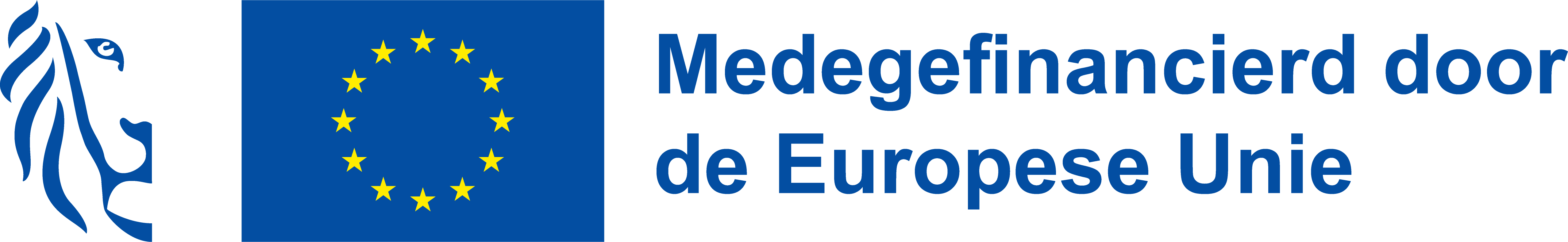 EU-Vlaanderen combilogo